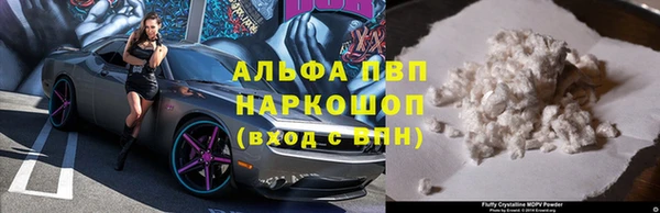 индика Володарск