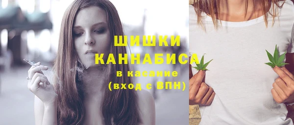 шишки Волоколамск